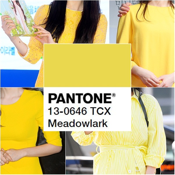 ������ ����