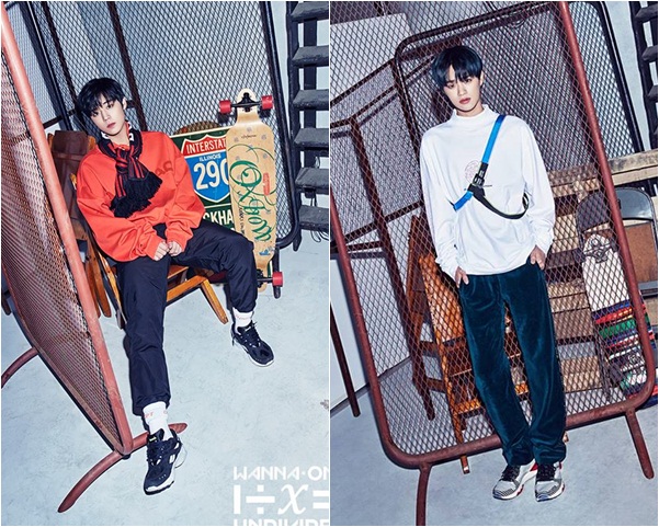 ������ ����