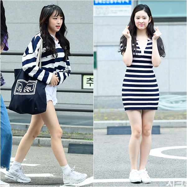 ������ ����