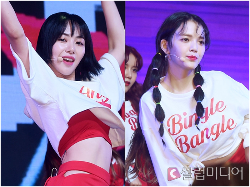 ������ ����