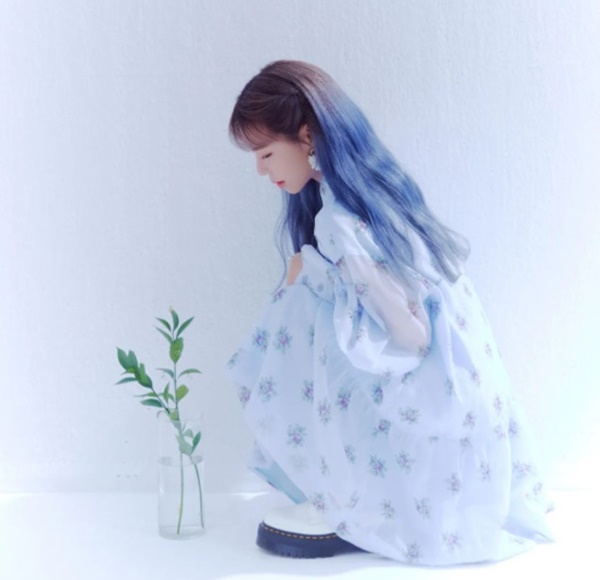 ������ ����