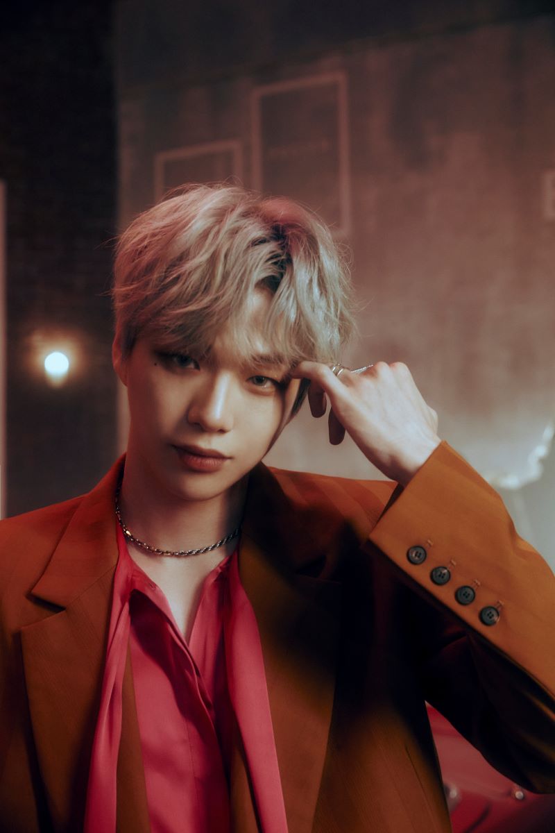 ������ ����