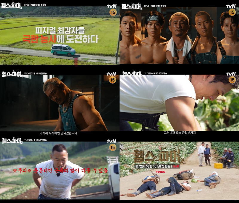 ������ ����