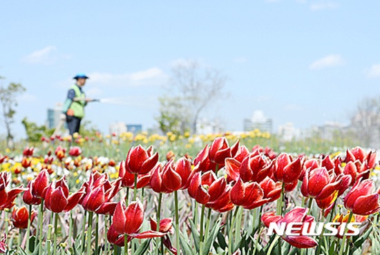 ��ũ���� ����