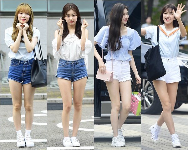 RBW ������, ���յ� ������, ����ȭ ���̷�, ��Ÿ�� ������ 