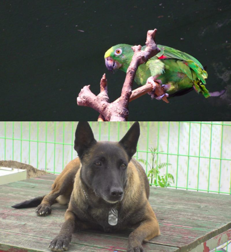 ��������