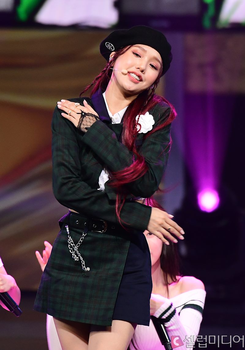 �����̰� �̹�