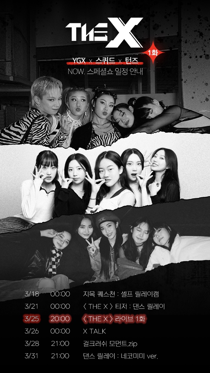 YGX-����-������