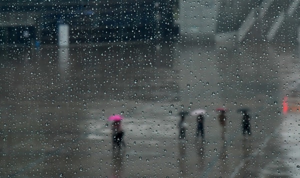 ���� ����