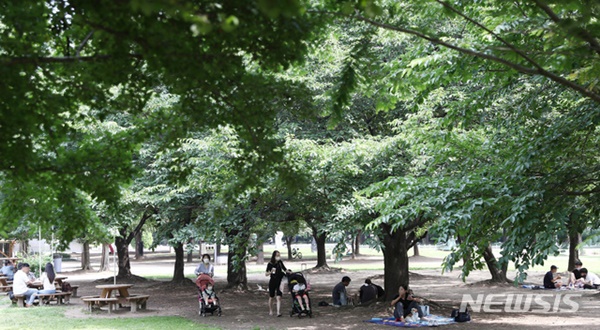 ���� ����