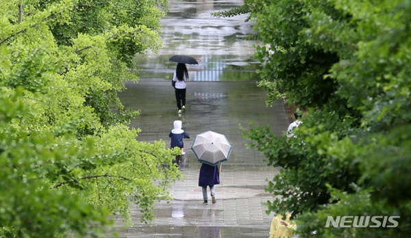 ���� ����