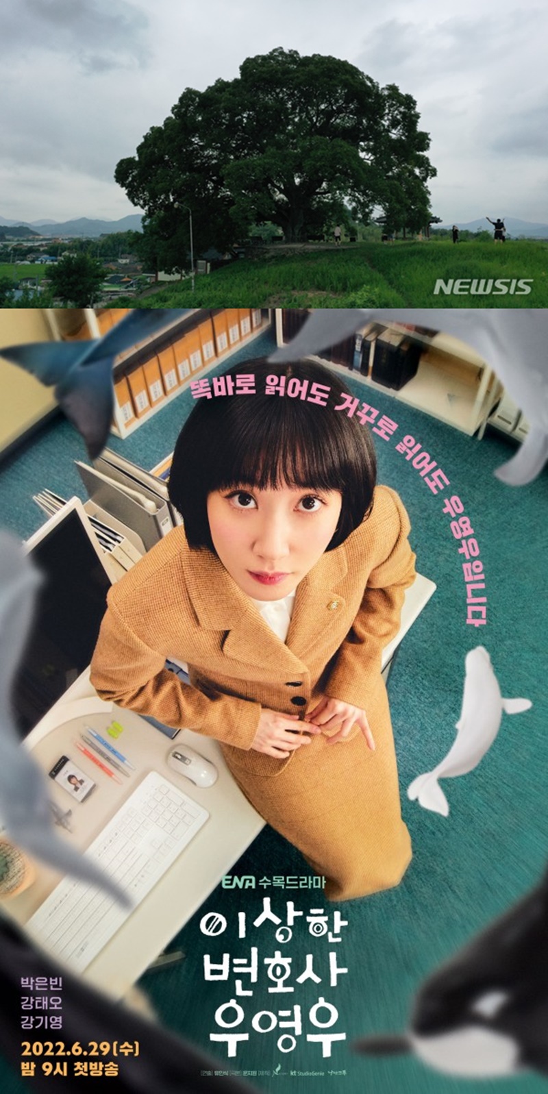 �̻��� ��ȣ�� �쿵��