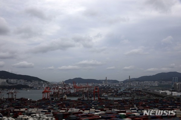 ���� ���� 