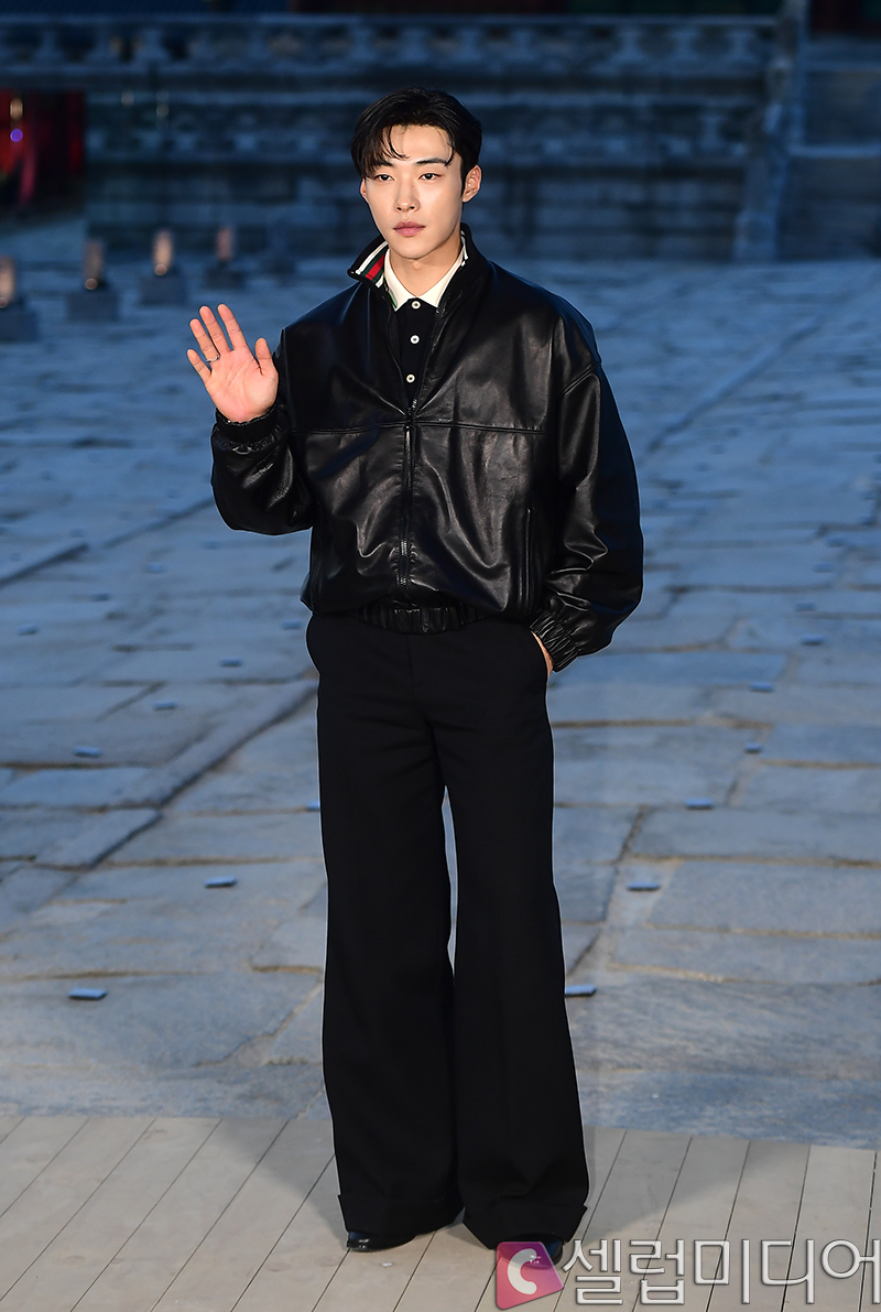 쵵ȯ