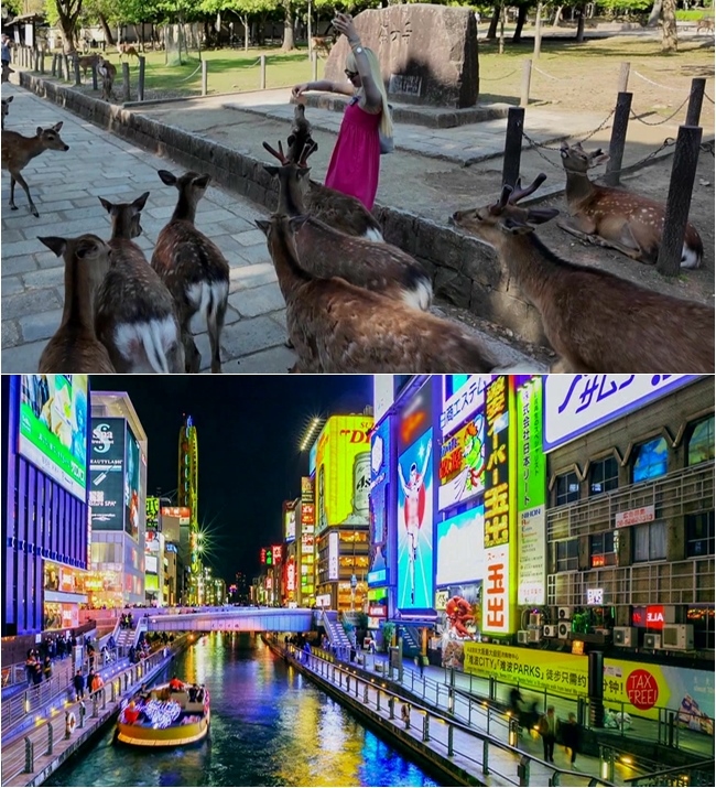 ٽð