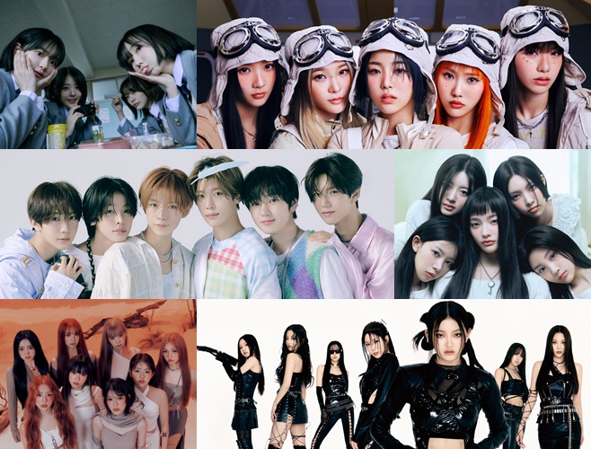 2024 ���� ���� �帲 �����