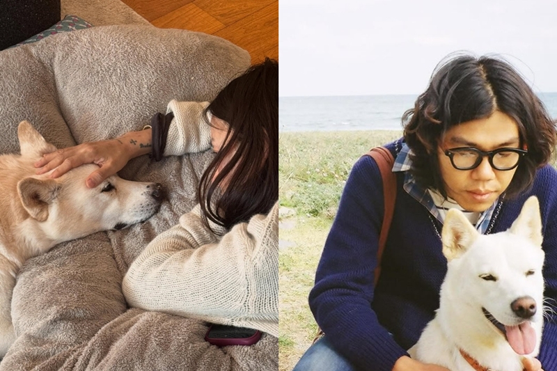 ��ȿ��, �̻��