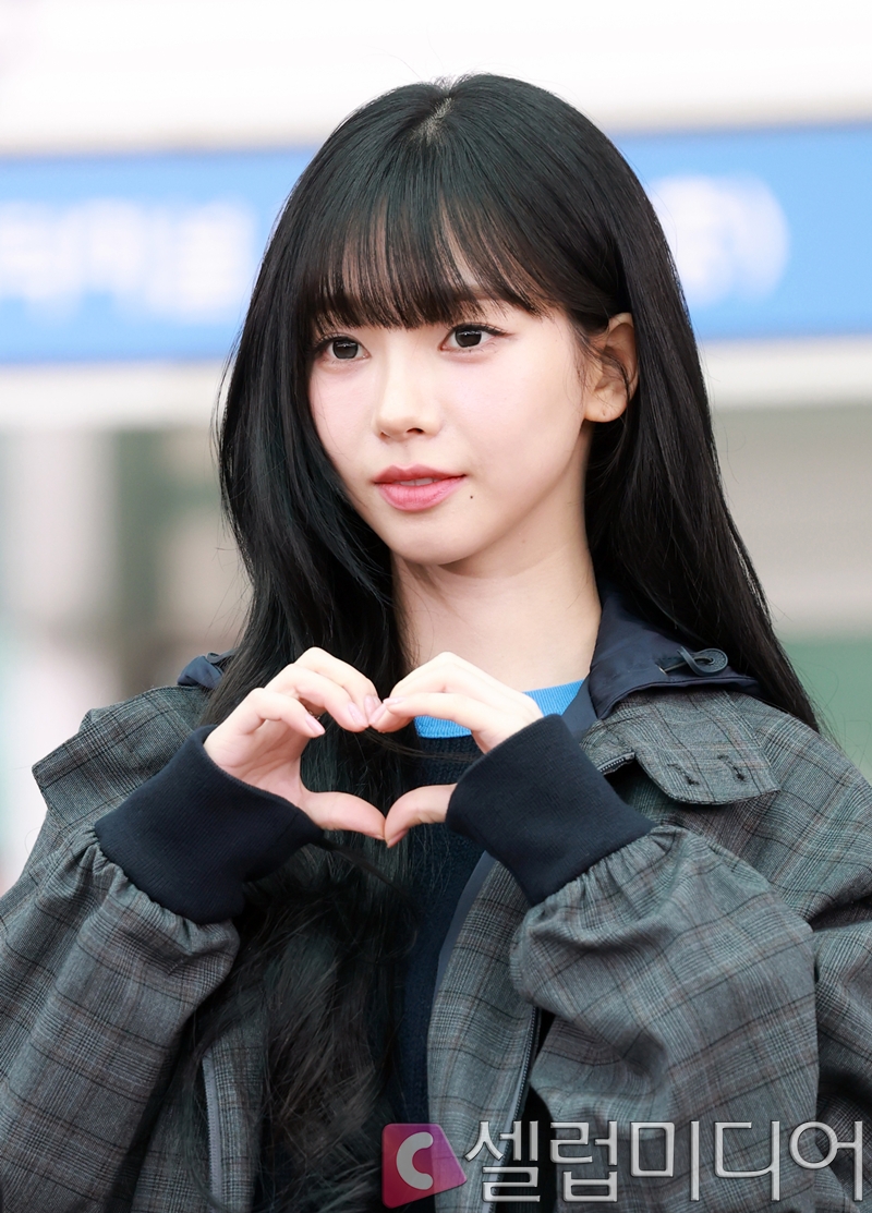 ������ ī����