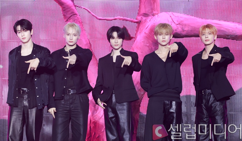 ����ο�������Դ�