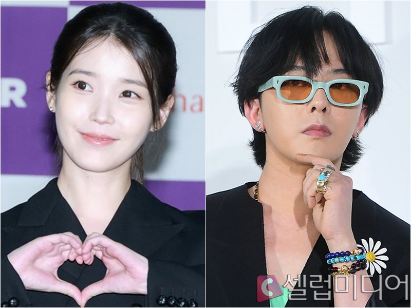 "선처 없다" 악플러와의 전쟁…지드래곤→ 아이유 도 강경 대응[셀럽이슈...
