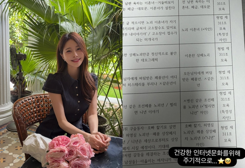 <b>아옳이</b>, 한의사와 공개 <b>연애</b> 후 쏟아진 악플…결국 모욕죄 대응[셀럽...