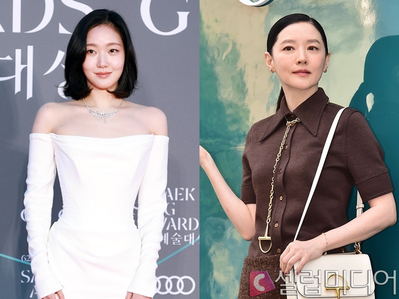<b>김고은</b>→<b>이영애</b>, ‘암살자(들)’ 호평했다가 불똥…SNS <b>악플</b> 세례[셀럽...
