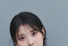 ̹