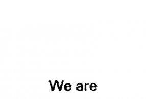 ̹