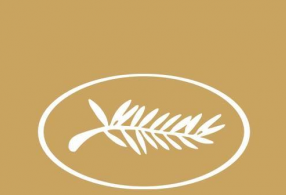 ̹