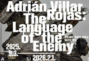 ����̹���