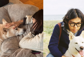 ����̹���