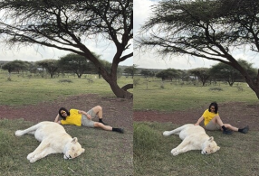 ����̹���