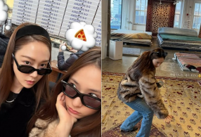 ����̹���