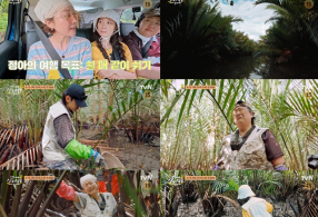 ����̹���