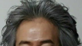 ̹