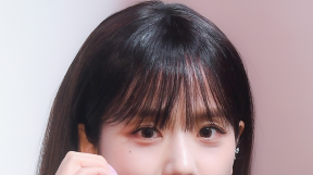 ̹