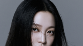 ̹