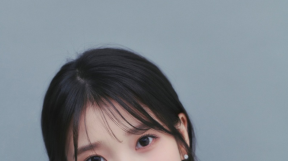 ̹