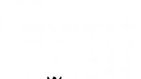 ̹