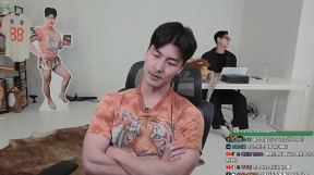 ̹
