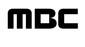 ̹