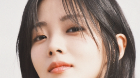 ̹