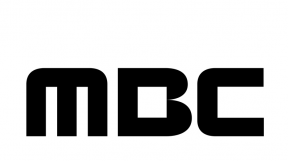 ̹
