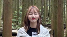̹