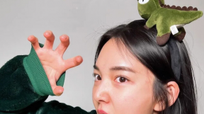 ̹
