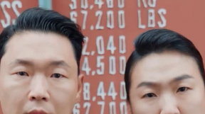 ̹