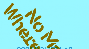 ̹