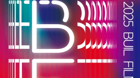 ̹