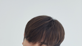 ̹