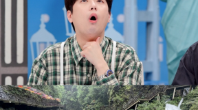 ̹